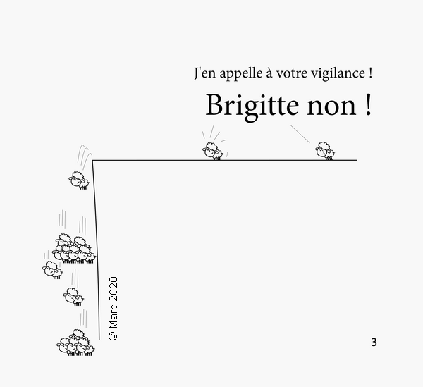 histoire de moutons humour