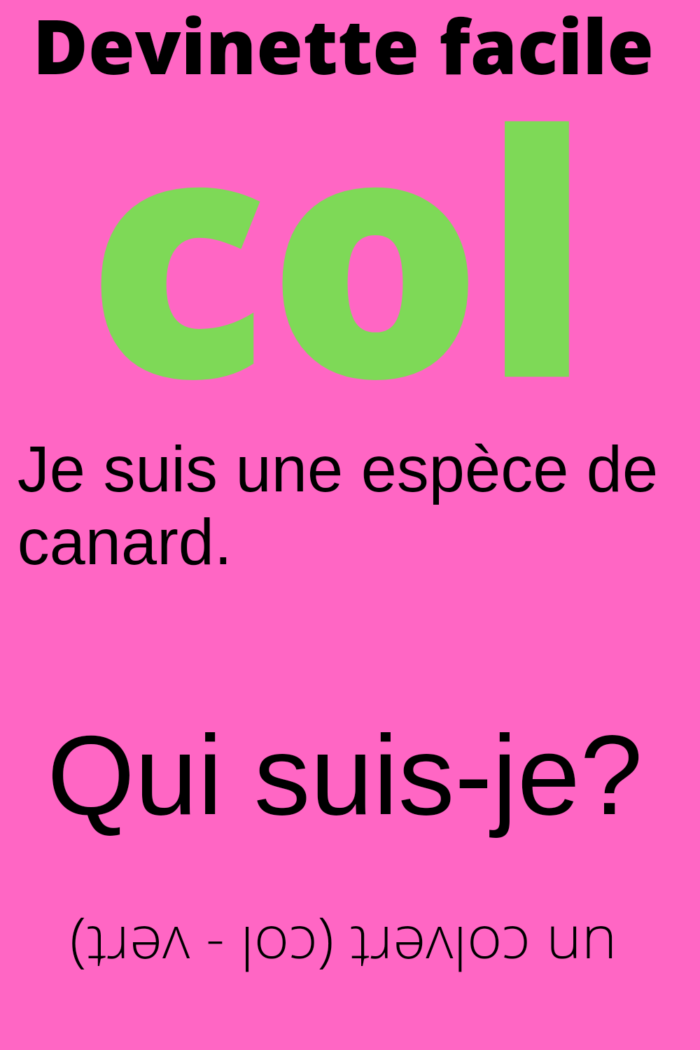 Devinette facile pour enfants. Trouver le mot colvert. Une espèce de canard.