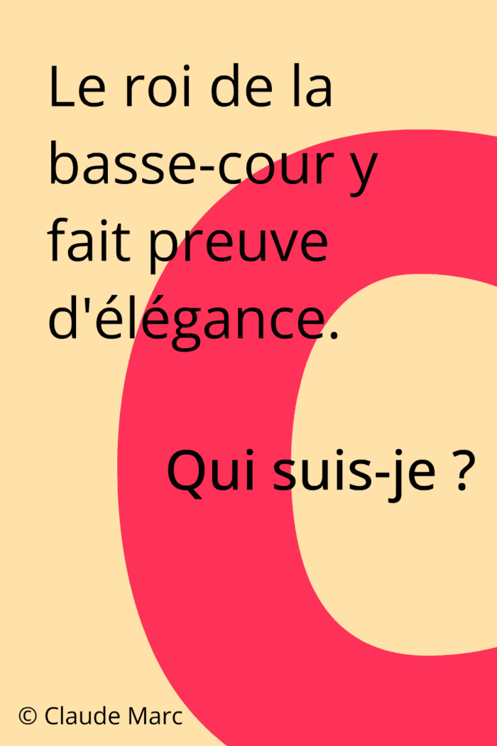 Devinette pour adultes. Qui suis-je ? Deviner le mot coquet.